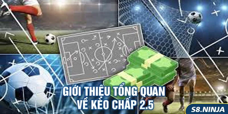 Giới thiệu tổng quan về Kèo Chấp 2.5