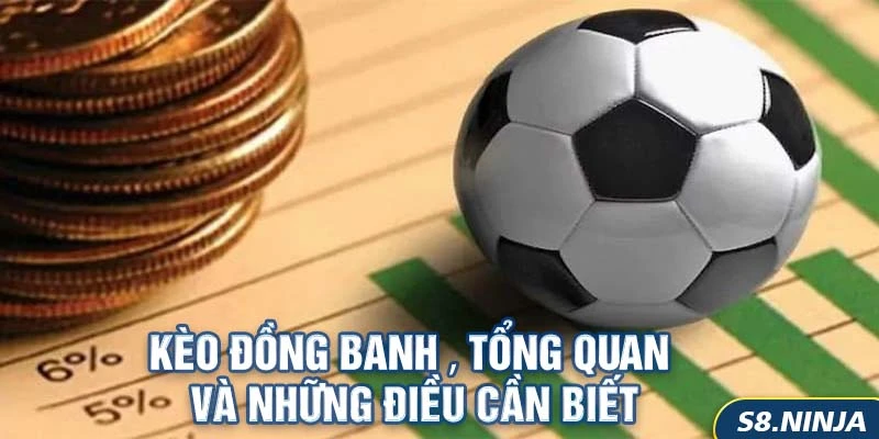 Khám Phá Toàn Diện Về Kèo Đồng Banh - Bí Quyết Chọn Lựa Chính Xác Trong Cá Cược Bóng Đá 1 Kèo Đồng Banh – Tổng Quan Và Những Điều Cần Biết